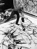 Pollock.jpg image by onemanstudio